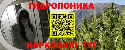 бошки Братск