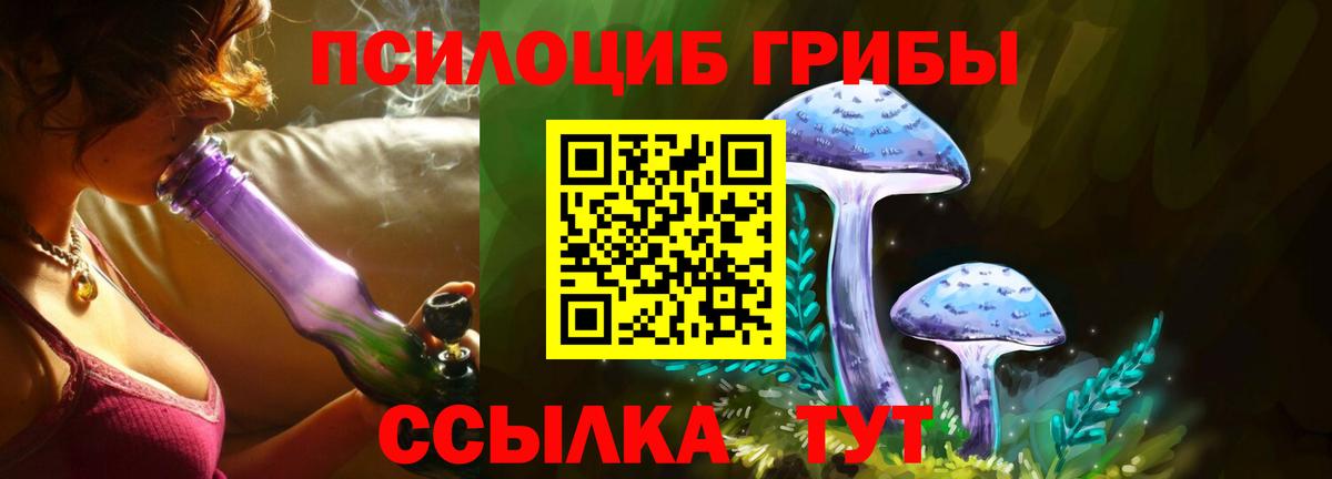 Галлюциногенные грибы GOLDEN TEACHER  Вход с VPN  Богородск 